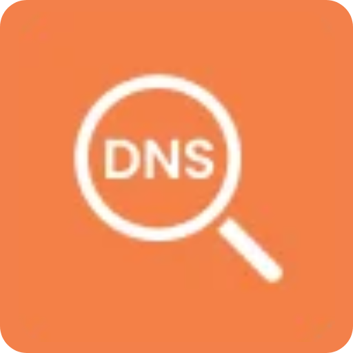 dns 2